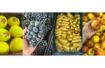 Guaraniaçu - Merenda escolar segue orientação nutricional e atende alunos da rede municipal 